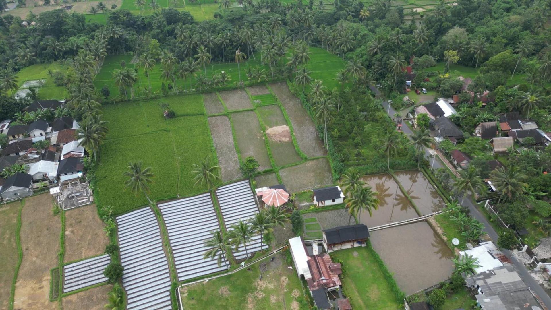 Rice Field Inn - Lombok Tetebatu Exterior photo